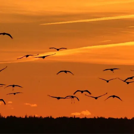 度假居 Ankerplatz