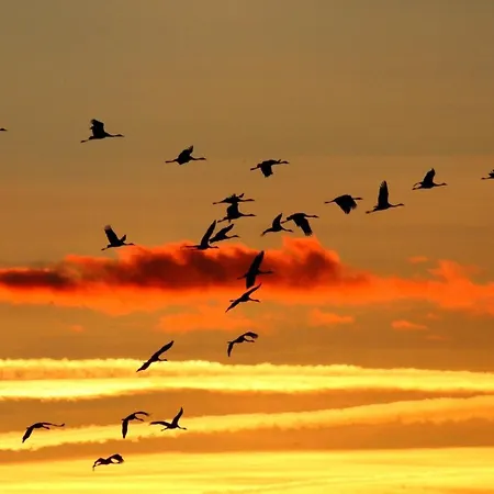 度假居 Ankerplatz