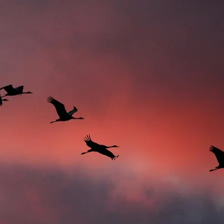 度假居 Ankerplatz *